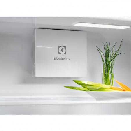 Réfrigérateur Une Porte ELECTROLUX ERD6DE18S